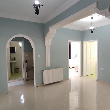 Large House 트라존