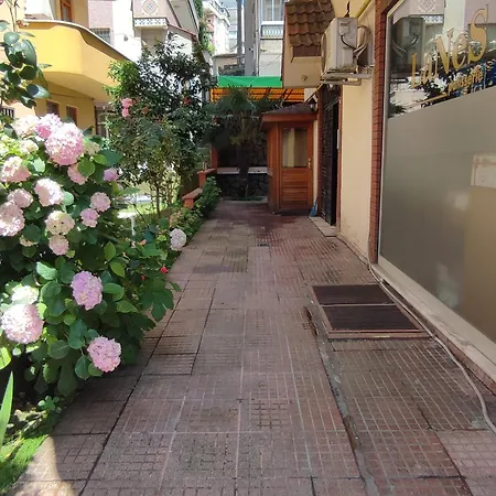 Large House * 트라존