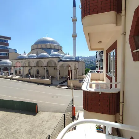 Apartment Large House