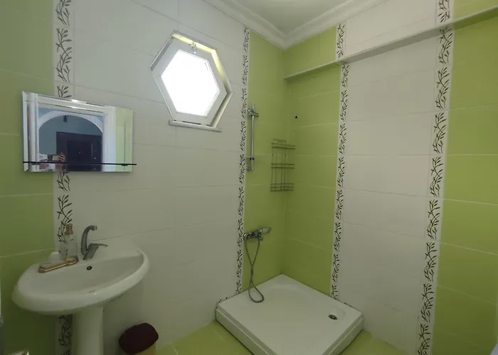 Apartment Large House